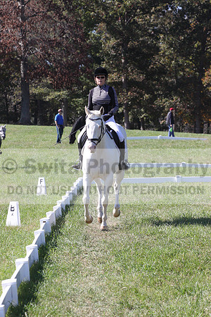 Kay Brady on Destiny's Mystique, Beginner Novice Horse Trials Senior C