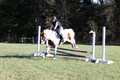 Elizabeth Schooley on Pearl, Advanced Green Horse Trials A