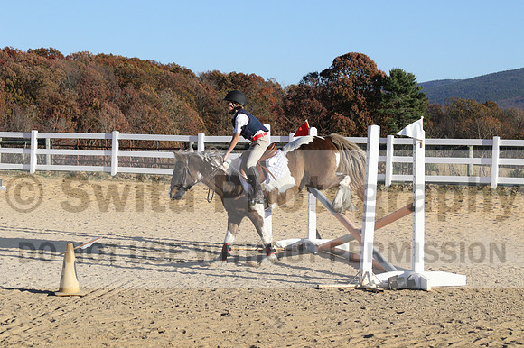 Reagan Roy on Paint By Numbers, Green Horse Trials Junior