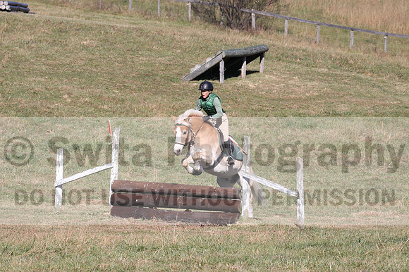 Sally Nunneley on Gingerman, Beginner Novice Horse Trials Senior A