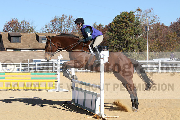 Maegan Bingham on Tribal Prospect, Novice Horse Trials Senior