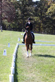 Emily Kagey on Flicka, Beginner Novice Horse Trials Junior A