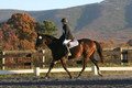 Thea Miller on Something Glamorous, Dressage Only: Training Level, Test 3