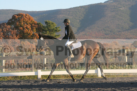 Thea Miller on Something Glamorous, Dressage Only: Training Level, Test 3