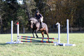 Lauren Seitz on Lyra Belacqua WRF, Advanced Green Combined Test