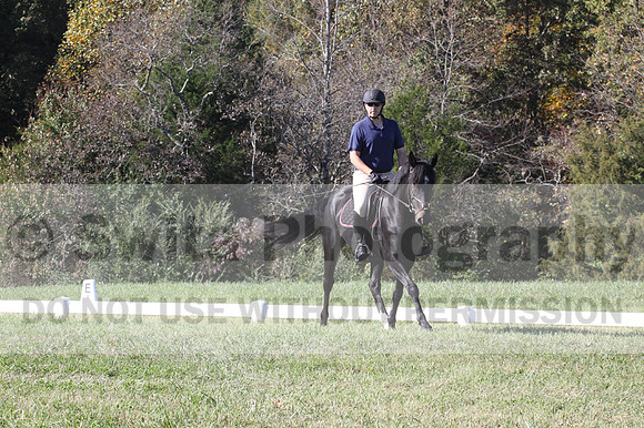 Paul Pinner on MLC Irish Rapture, Advanced Green Horse Trials A