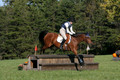 Elizabeth Davis on Freedom's Stormy Night, Beginner Novice Horse Trials Junior B