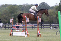 Lindsey Lanier on Fernhill Hustler, OI