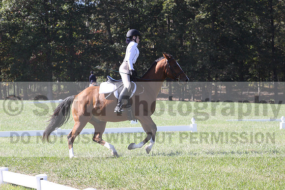 Brooklynn Hull on Challenged Accepted, Beginner Novice Horse Trials Junior A