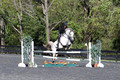 Liz Riley on Ice Storm, Novice HT