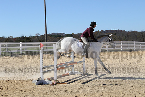 Shannon Bower on Bastille, Beginner Novice Combined Test