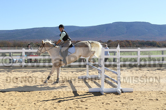 Anna Kryder on MEMC Playboy, Beginner Novice Horse Trials Junior A