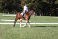 Allie Farley on Fiona, Novice Horse Trials Senior A