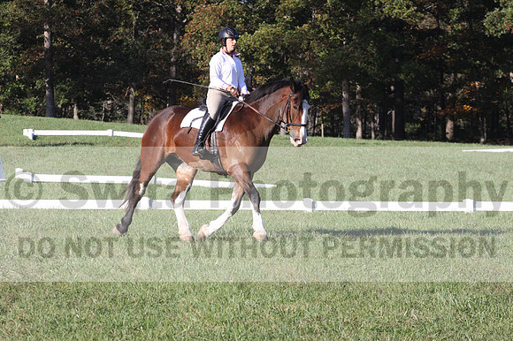 Allie Farley on Fiona, Novice Horse Trials Senior A