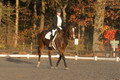 Thea Miller on Something Glamorous, Dressage Only: Training Level, Test 3