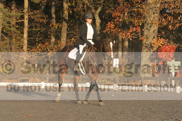 Thea Miller on Something Glamorous, Dressage Only: Training Level, Test 3