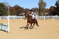 Ingrid Dunn on Ruby Redbird, Beginner Novice Horse Trials Senior C