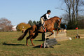 Elizabeth Brown on Adagio, Advanced Green Horse Trials Senior A