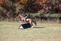 Emily Beshear on My Combination, Novice Horse Trials Senior