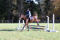 Carol Brickey on Throwing Stones, Advanced Green Horse Trials B