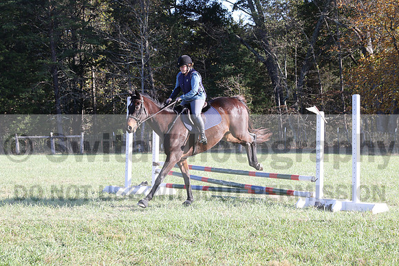 Carol Brickey on Throwing Stones, Advanced Green Horse Trials B