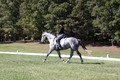 Michele Gnozzio on Dazzling, Beginner Novice Horse Trials Senior C