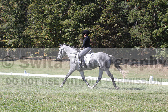 Michele Gnozzio on Dazzling, Beginner Novice Horse Trials Senior C