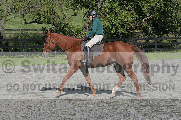 John Weir on Admiral, Dressage Only: Training Level, Test 2/3