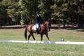 Emily Kagey on Flicka, Beginner Novice Horse Trials Junior A