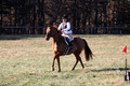 Elizabeth Brown on Adagio, Advanced Green Horse Trials Senior A