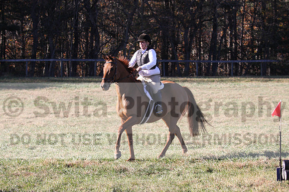 Elizabeth Brown on Adagio, Advanced Green Horse Trials Senior A