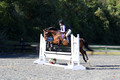 Mandolin Whitten on Thistle, Novice Horse Trials