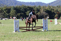 Carol Brickey on Throwing Stones, Advanced Green Horse Trials B