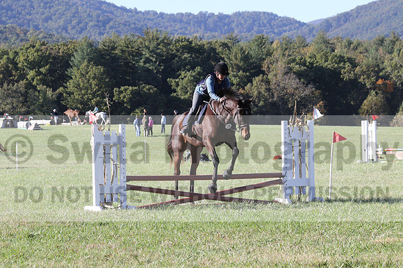 Carol Brickey on Throwing Stones, Advanced Green Horse Trials B