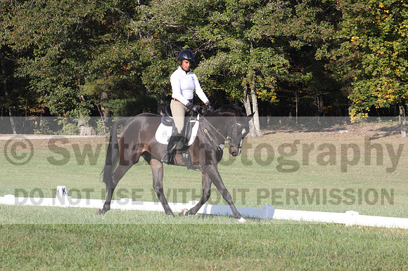 Anna White on Rocking The Ark, Novice Horse Trials Senior A