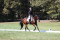 Brooke Bayley on Unbroken, Beginner Novice Horse Trials Senior A
