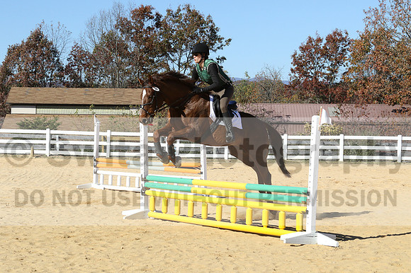 Amy Morris on Milo, Beginner Novice Horse Trials Senior C