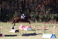 Ingrid Dunn on Ruby Redbird, Beginner Novice Horse Trials Senior C