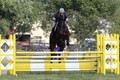 Liz Millikin on Malabar 54, OP-B