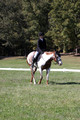 Holly Holbrook on Two Bet Chloe, Beginner Novice Horse Trials Junior A