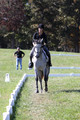 Michele Gnozzio on Dazzling, Beginner Novice Horse Trials Senior C