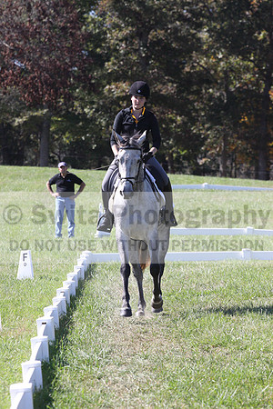 Michele Gnozzio on Dazzling, Beginner Novice Horse Trials Senior C