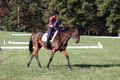 Shannon Daily on Pitt Maneuver, Novice Horse Trials Senior B