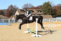 Dorothy Lower on The Wizard Of Oz, Advanced Green Horse Trials Junior A