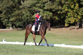 Shannon Daily on Pitt Maneuver, Novice Horse Trials Senior B