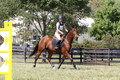 Jennifer Treacy on Happy Harry, BNR