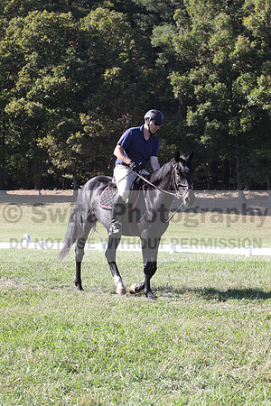 Paul Pinner on MLC Irish Rapture, Advanced Green Horse Trials A
