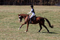 Ingrid Dunn on Ruby Redbird, Beginner Novice Horse Trials Senior C