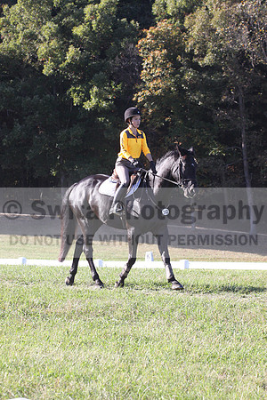 Madlen Lesesne on SBF Figaro, Advanced Green Horse Trials B