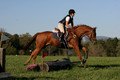 Alexandria Morocom on Da Lime and Da Coconut, Advanced Green Horse Trials B